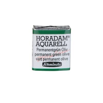 Schmincke Horadam Aquarell Artist Watercolor Permanent Green Olive 1/2 Tab.