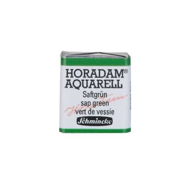 Schmincke Horadam Aquarell Artist Watercolor Sap Green 1/2 Tab.