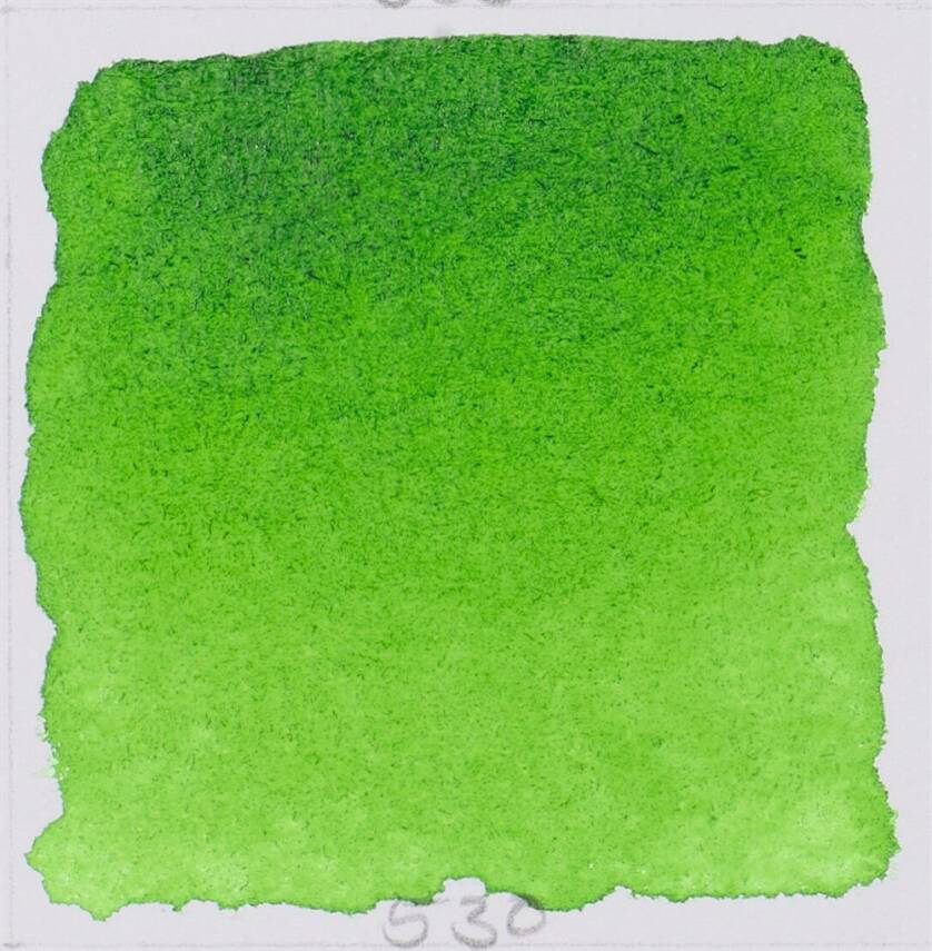 Schmincke Horadam Aquarell Artist Watercolor Sap Green 1/2 Tab. - 2