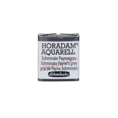 Schmincke Horadam Aquarell Artist Watercolor Schmincke Payne'S Gray 1/2 Tab.