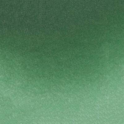 Schmincke Horadam Aquarell Artist Watercolour 15 ml Tube Series 1 521 Hooker's Green - 2