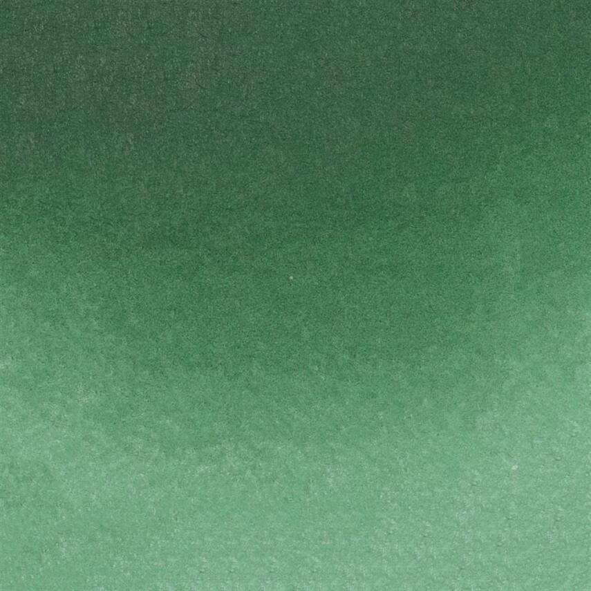 Schmincke Horadam Aquarell Artist Watercolour 15 ml Tube Series 1 521 Hooker's Green - 2