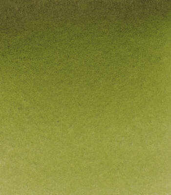 Schmincke Horadam Aquarell Sulu Boya 5 Ml 525 Olive Green Yellowish - 2