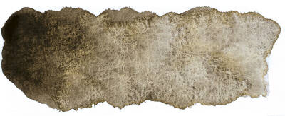 Schmincke Horadam Supergranulation Sulu Boya 15 ml 969 Haze Brown