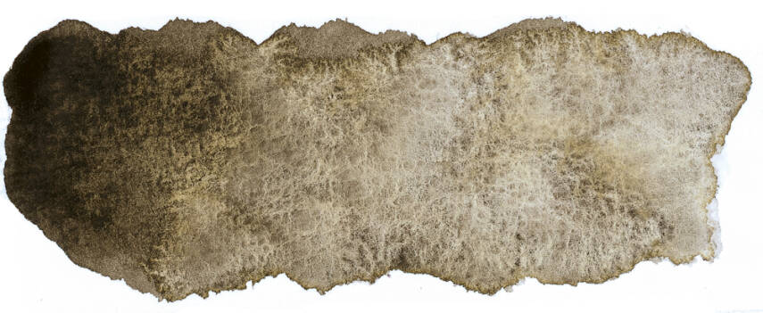 Schmincke Horadam Aquarell Supergranulation 15 ml Haze Brown - 3