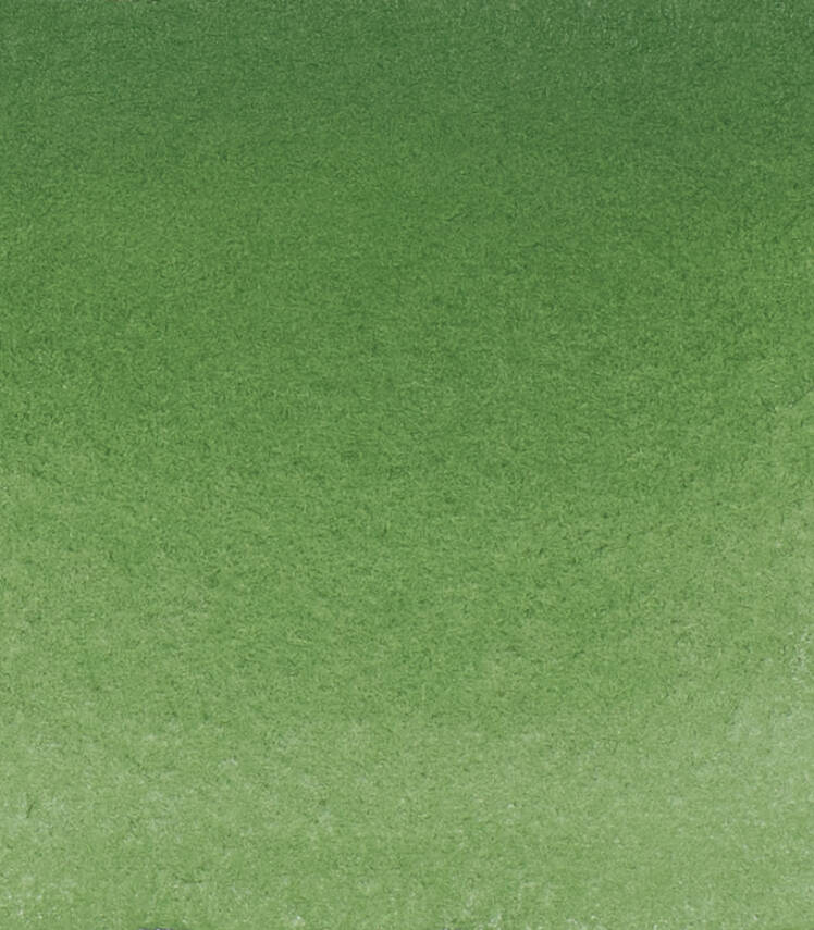 Schmincke Horadam Aquarell Watercolor 5 Ml Tube 512 Chromium Oxide Green - 2