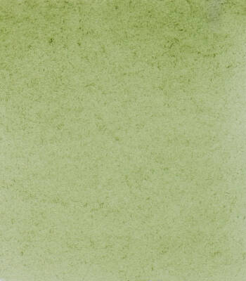 Schmincke Horadam Aquarell Watercolor 5 Ml Tube 516 Green Earth