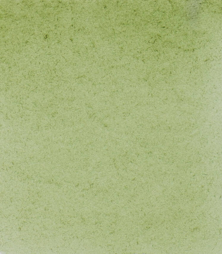 Schmincke Horadam Aquarell Watercolor 5 Ml Tube 516 Green Earth - 2