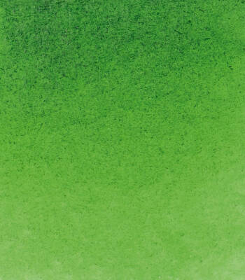 Schmincke Horadam Aquarell Watercolor 5 ml Tube 530 Sap Green