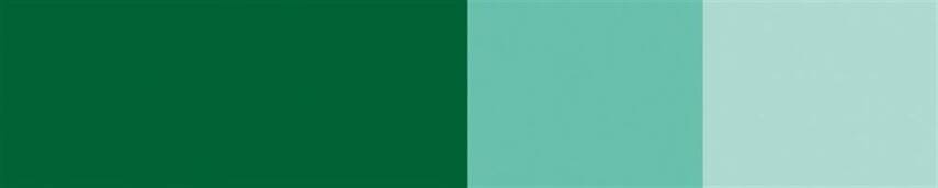 Schmincke Horadam Artist Gouache 15 ml Series 1 524 Helio Green Yellowish - 2