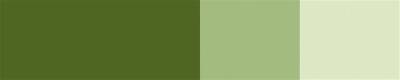 Schmincke Horadam Artist Gouache 15 ml Series 2 532 Olive Green
