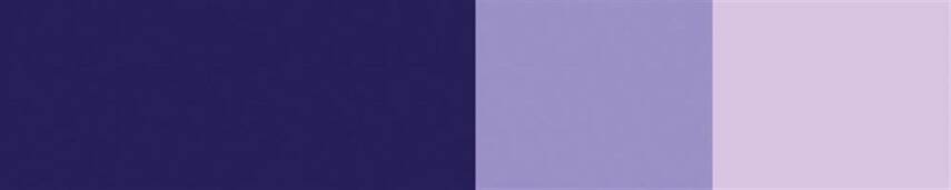 Schmincke Horadam Artist Guaj Boya 15 ml 460 Violet Seri 1  - 2