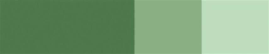 Schmincke Horadam Artist Guaj Boya 15 ml 530 Chromium Oxide Green Seri 1  - 2