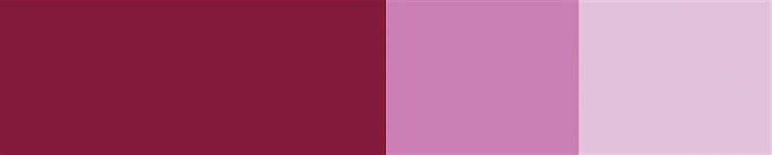 Schmincke Horadam Artist Guaj Boya 15 ml 360 Quinacridone Violet Seri 2  - 2