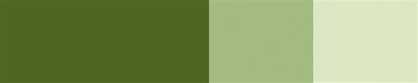 Schmincke Horadam Artist Guaj Boya 15 ml 532 Olive Green Seri 2  - 2
