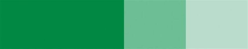 Schmincke Horadam Artist Guaj Boya 15 ml 526 Cobalt Green Light Seri 4  - 2