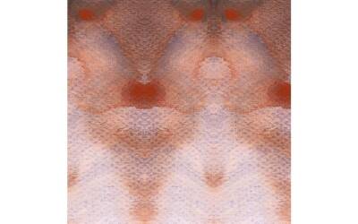 Schmincke Horadam Supegranulation Watercolor 15 ml 974 Galaxy Brown - 2