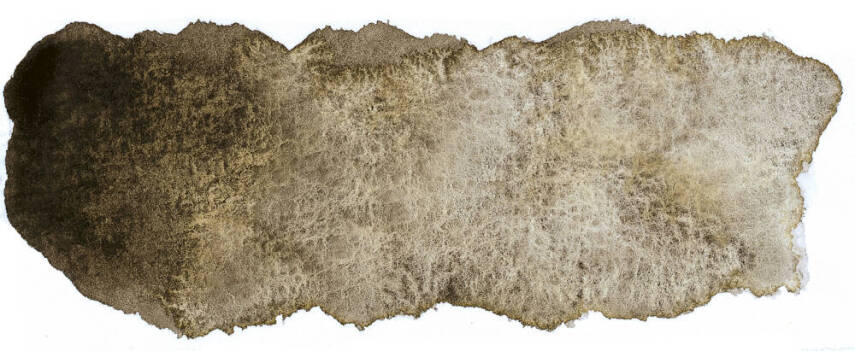 Schmincke Horadam Supergranulation Sulu Boya Haze Brown 1/2 Tab. - 2