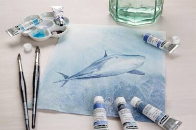 Schmincke Horadam Supergranulation Suluboya Set 40x1/2 Tablet - 3