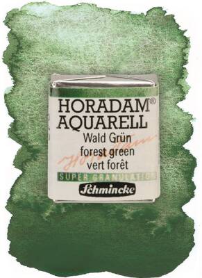 Schmincke Horadam Supergranulation Watercolor Forest Green 1/2 Tab.