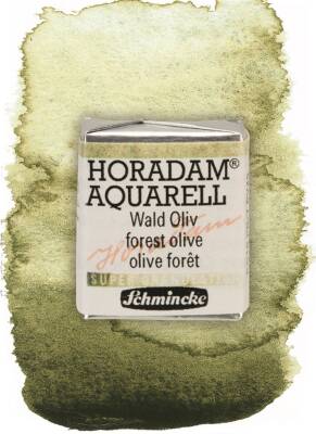 Schmincke Horadam Supergranulation Watercolor Forest Olive 1/2 Tab.
