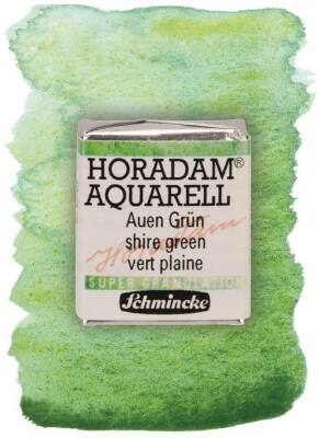 Schmincke Horadam Supergranulation Watercolor Shire Green 1/2 Tab.