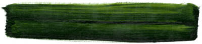 Schmincke Mussini Artist Oil Paint 35 ml Series 2 526 Sap Green