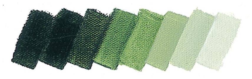 Schmincke Mussini Artist Oil Paint 35 ml Series 2 526 Sap Green - 2