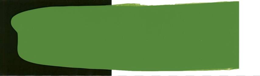 Schmincke Primacryl Artist Acrylic Paint 237 ml Series 1 566 Olive Green - 3