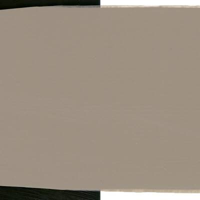 Schmincke Primacryl Artist Acrylic Paint 250 ml Series 1 788 Light Gray Fluid