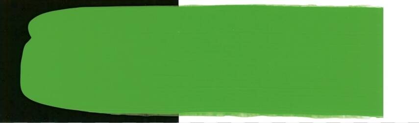 Schmincke Primacryl Artist Akrilik Boya 237 ml 568 Vanadium Green Seri 6  - 3