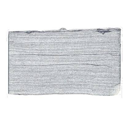 Schmincke Primacryl Artist Akrilik Boya 35 ml 895 Silver Seri 2