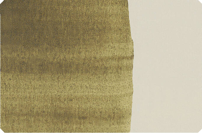 Schmincke Toz Pigment Bohemian Green Earth 100 ml - 3