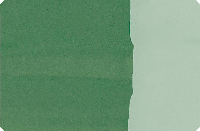 Schmincke Toz Pigment Chromium Oxide Green 100 ml - 3