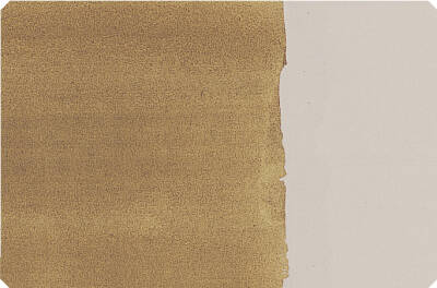 Schmincke Toz Pigment Raw Umber, Greenish 100 ml - 3