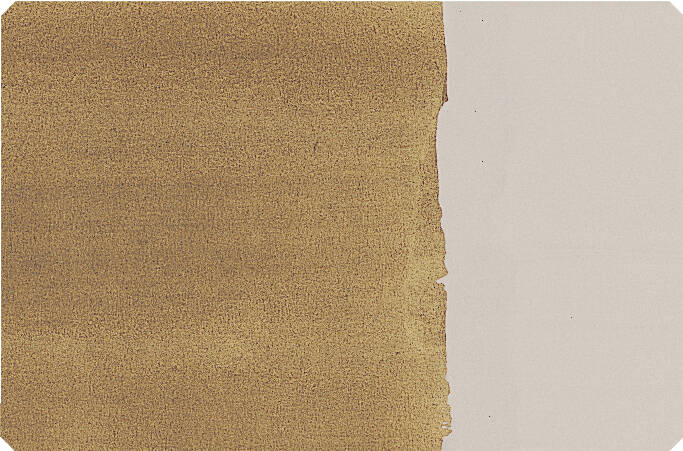 Schmincke Toz Pigment Raw Umber, Greenish 100 ml - 3