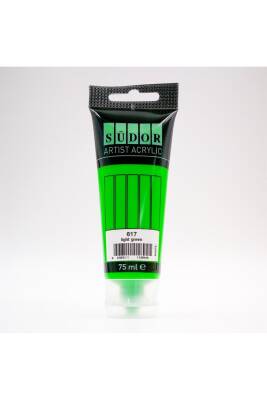 Südor Acrylic Tube 75 ml Light Green 617