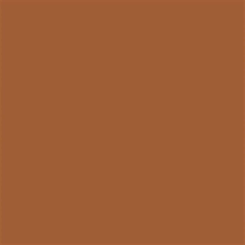 Talens Amsterdam Standard Acrylic Paint 120 ml 234 Raw Sienna - 1