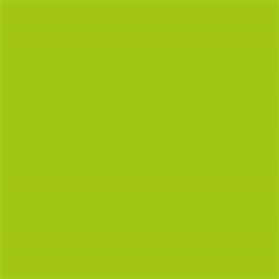 Talens Amsterdam Standard Acrylic Paint 120 ml 243 Greenish Yellow