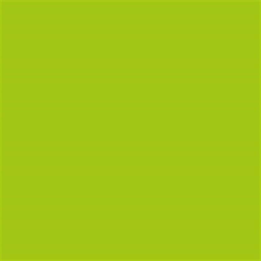 Talens Amsterdam Standard Acrylic Paint 120 ml 243 Greenish Yellow - 1