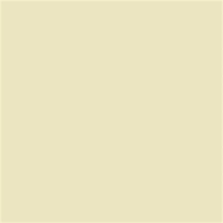 Talens Amsterdam Standard Acrylic Paint 120 ml 282 Naples Yellow Green - 1