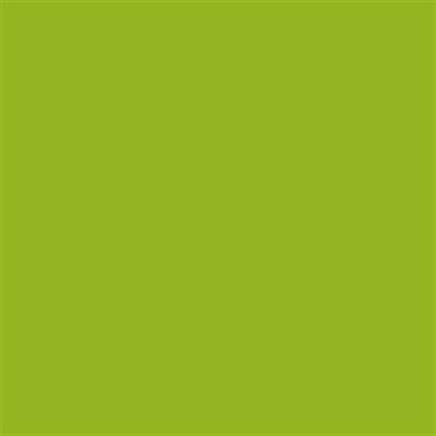 Talens Amsterdam Standard Acrylic Paint 120 ml 617 Yellowish Green