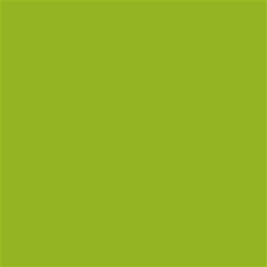 Talens Amsterdam Standard Acrylic Paint 120 ml 617 Yellowish Green - 1