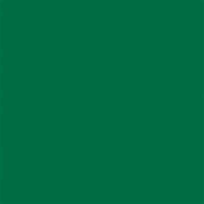 Talens Amsterdam Standard Acrylic Paint 120 ml 619 Permanent Green Deep