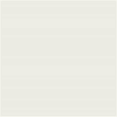 Talens Amsterdam Standard Acrylic Paint 120 ml 800 Silver