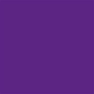 Talens Amsterdam Standard Acrylic Paint 500 ml 568 Permanent Blue Violet