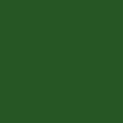 Talens Amsterdam Standard Acrylic Paint 500 ml 623 Sap Green