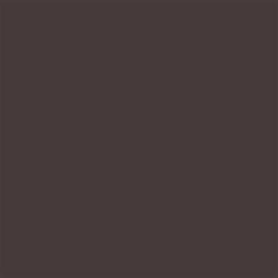 Talens Amsterdam Standard Akrilik Boya 120 ml 408 Raw Umber