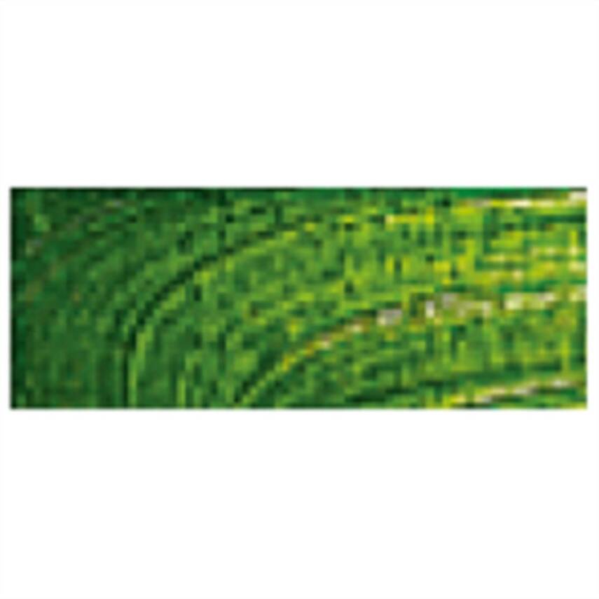 Talens Van Gogh Yağlı Boya 40 ml 623 Sap Green - 1