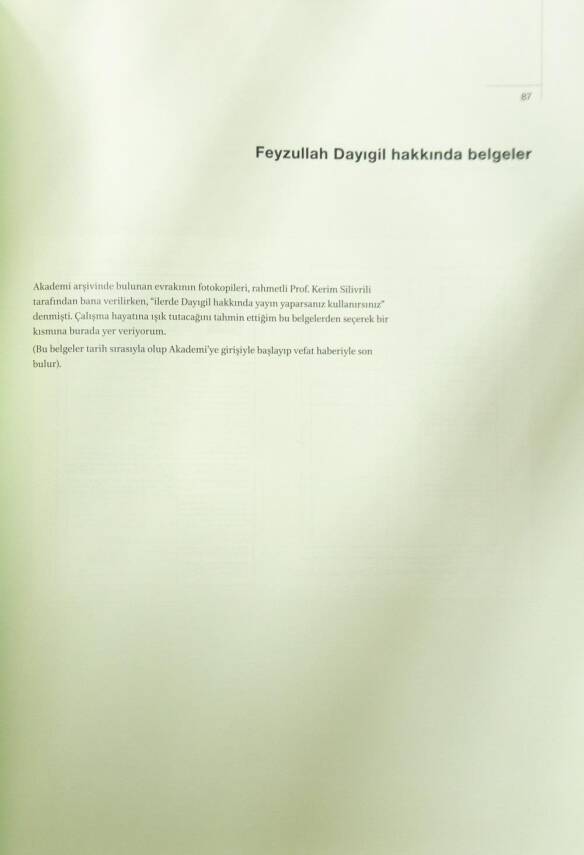 Türk Tezyinatını Canlandıran Adam - Feyzullah Dayıgil - 1